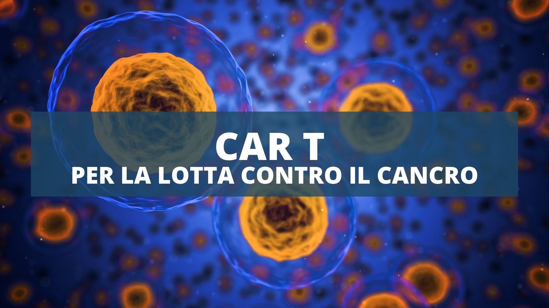 Terapia con le cellule CAR T