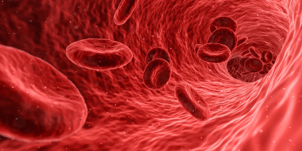 cellule tumorali sangue