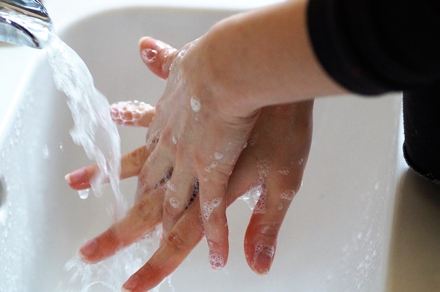lavarsi mani-Echinococcosi cistica