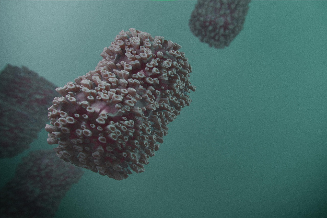 è morto Foege (foto free di SamuelFJohanns da Pixabay)