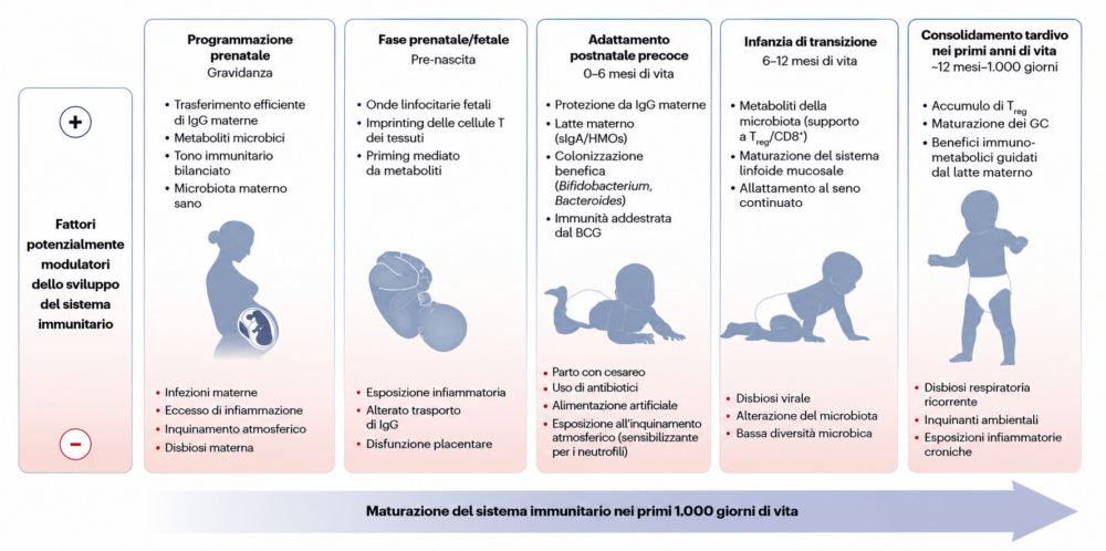 Photo da Ufficio Stampa Ospedale Pediatrico Bambino Gesù