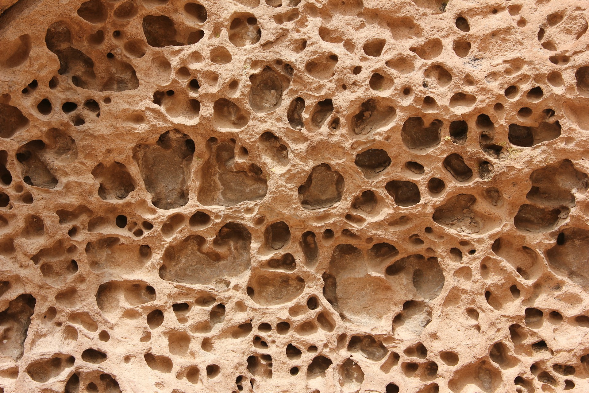 osteoporosi
